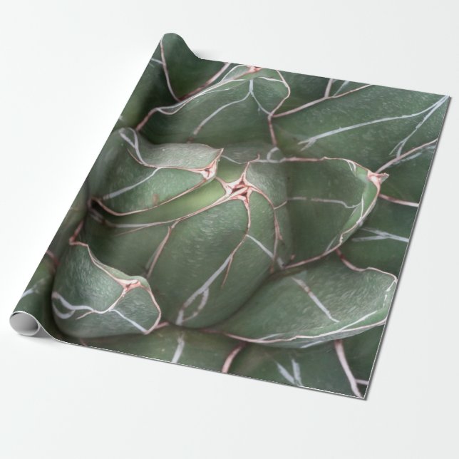 Green Succulnet Plant Matte Wrapping Paper (Unrolled)