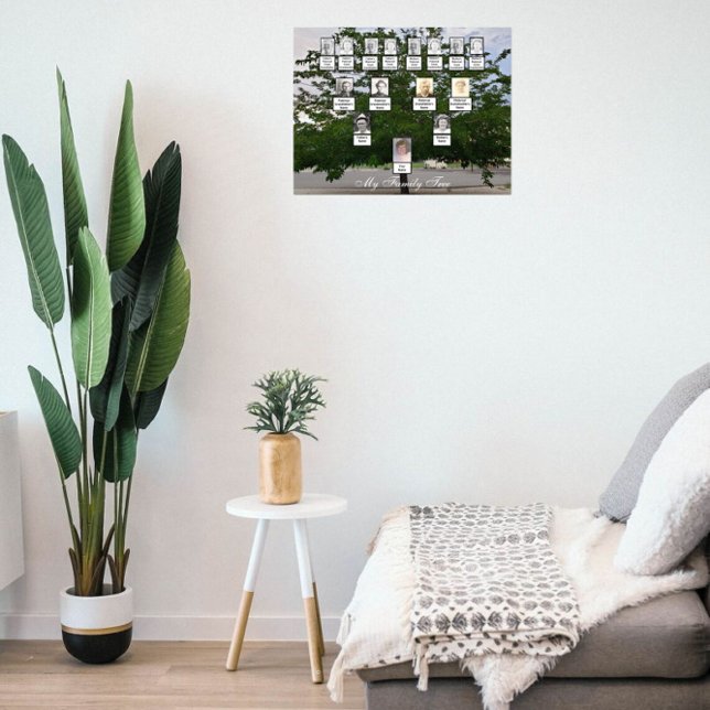 Green Summer Family Tree Photo Poster (Creator Uploaded)