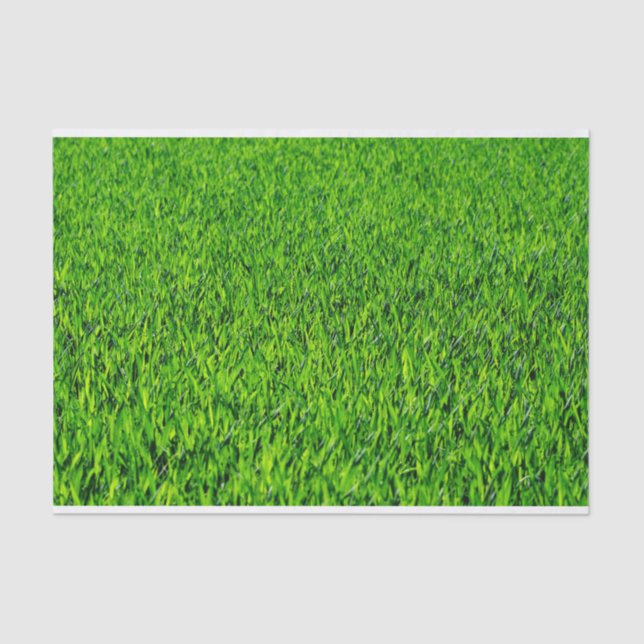 Green Summer Grass Texture Tissue Paper (Front)