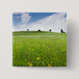 green summer meadows in bavaria, ostallgäu with 15 Cm Square Badge