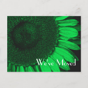 Green Sunflower New Address Floral Postcard