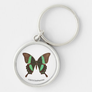 Green Swallowtail Butterfly Key Ring