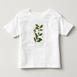 Green Tea, plate 351 from 'A Curious Herbal', publ Toddler T-Shirt
