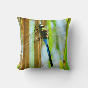 green & teal dragonfly, Black pillow lilypads