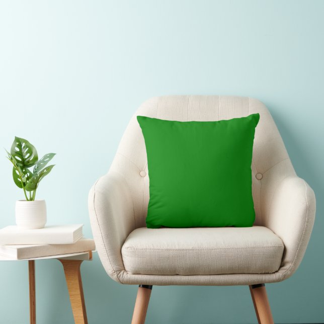 Green Throw Pillow (Chair)