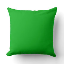 Green Throw Pillow 20" x 20"