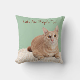Green Throw Pillow Orange Cat