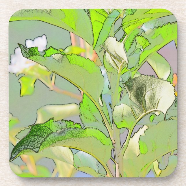 Green thumb's Coasters (Front)