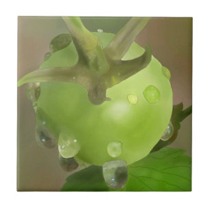 Green tomatoes ceramic tile