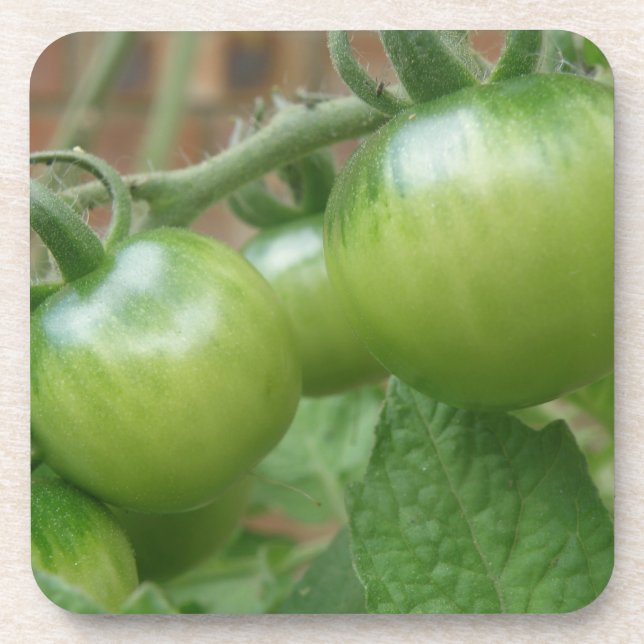 Green Tomatoes Cork Coaster (Front)