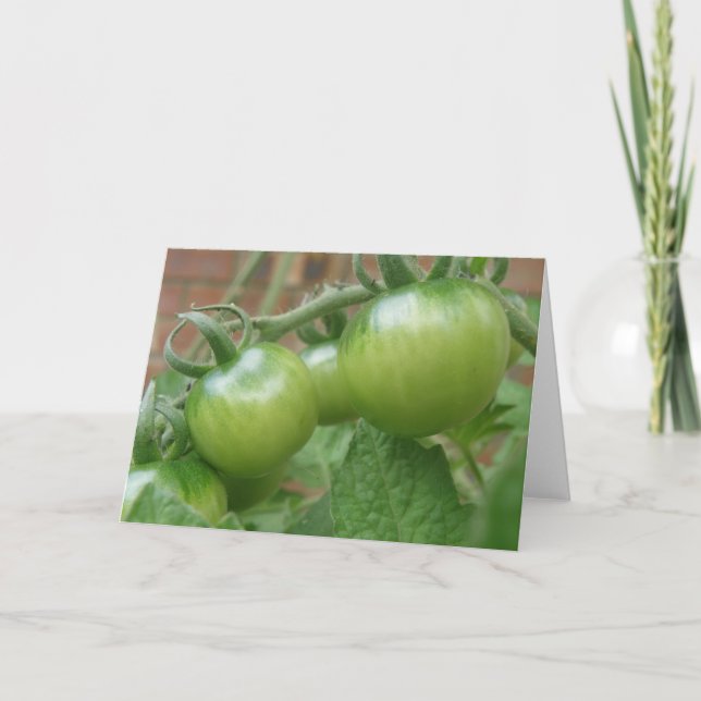Green Tomatoes Greeting Card (Front)
