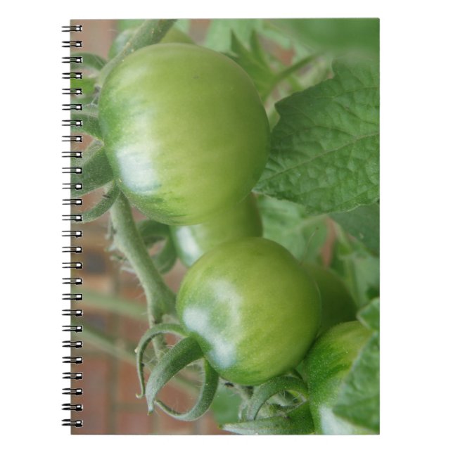 Green Tomatoes Notebook (Front)