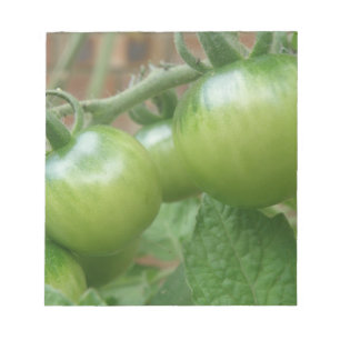 Green Tomatoes Notepad