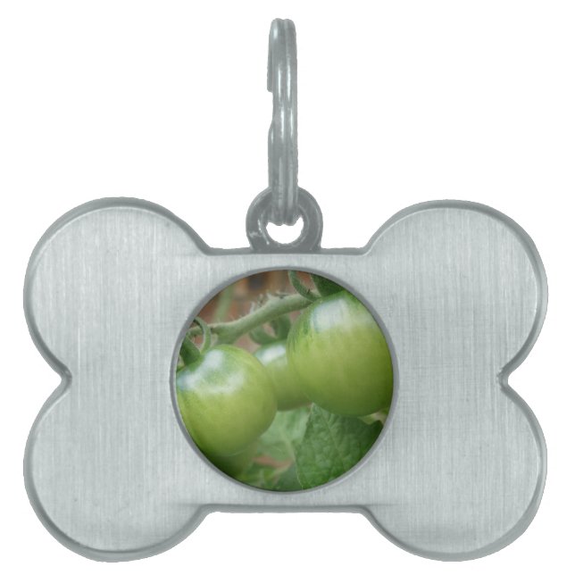 Green Tomatoes Pet Tag (Front)