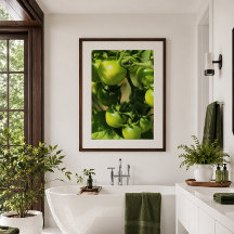 Green Tomatoes