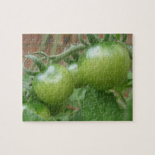 Green Tomatoes Puzzle