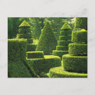 Green Topiary - Postcard