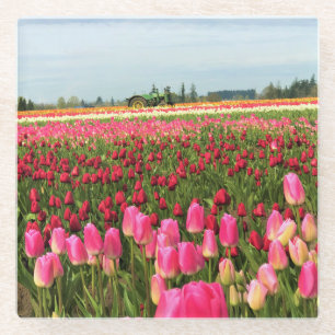 Green Tractor in Tulip Field, Oregon Glass Coaster