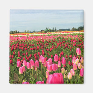Green Tractor in Tulip Field, Oregon Magnet