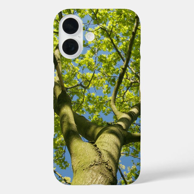 Green Tree Crown Photo with blue Sky - Case-Mate iPhone Case (Back)