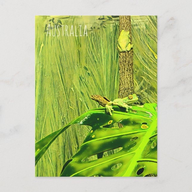 Green Tree Frog Australian frog Postcard (Front)