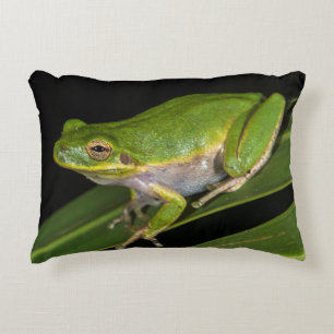 Green Tree Frog (Hyla cinerea) 2 Decorative Cushion
