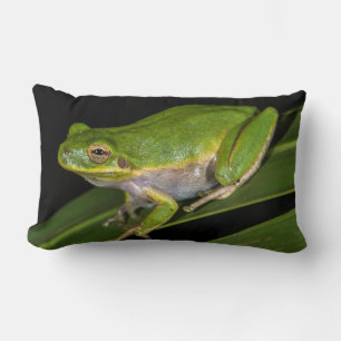 Green Tree Frog (Hyla cinerea) 2 Lumbar Cushion