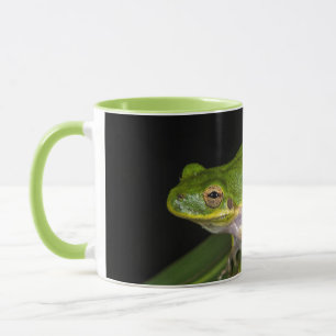 Green Tree Frog (Hyla cinerea) 2 Mug