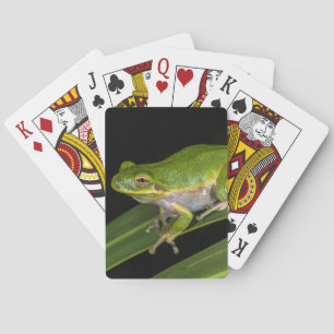 Green Tree Frog (Hyla cinerea) 2 Playing Cards