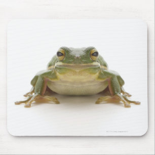 Green tree frog (Hylidae cinerea) Mouse Pad