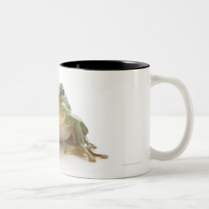 Green tree frog (Hylidae cinerea) Two-Tone Coffee Mug