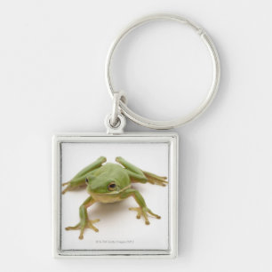 Green Tree Frog Key Ring