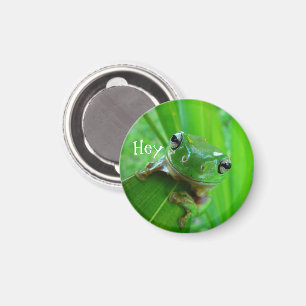 Green Tree Frog Magnet