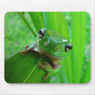 Green Tree Frog Mousepad