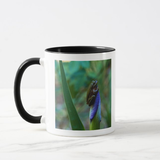 Green Tree Frog on Iris Mug (Left)