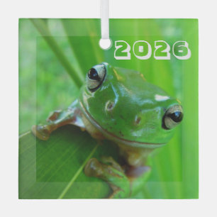 Green Tree Frog Ornament