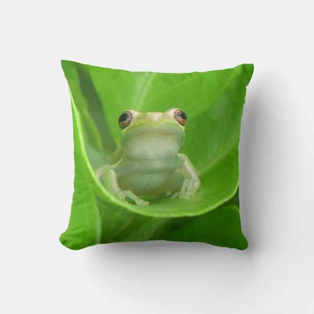 Green Tree Frog Pillow (Front)