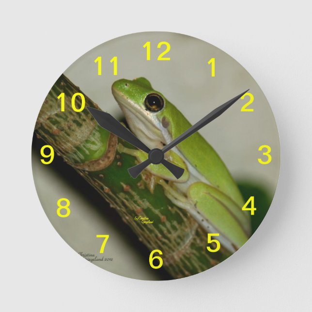 Green tree frog Wall Clock (Front)