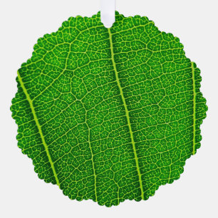 Green Tree Leaf Decoration Card