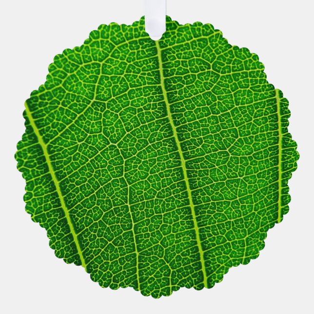Green Tree Leaf Decoration Card (Front)