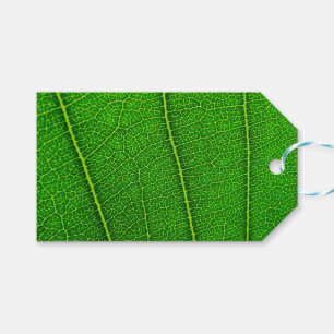 Green Tree Leaf Gift Tags
