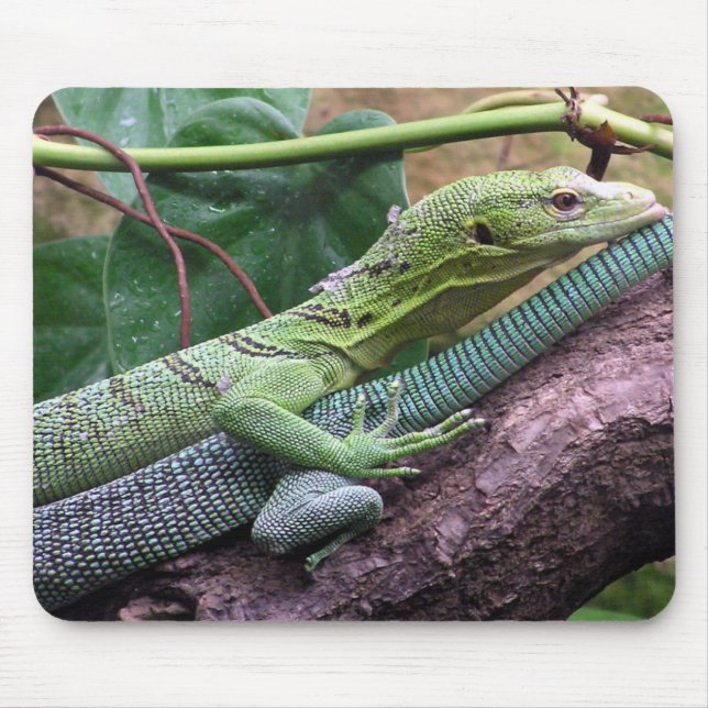 Green Tree Monitor - Varanus prasinus Mouse Pad (Front)