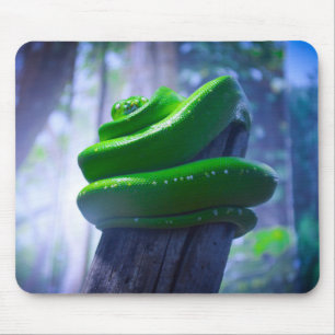 Green Tree Python (A) Mouse Pad