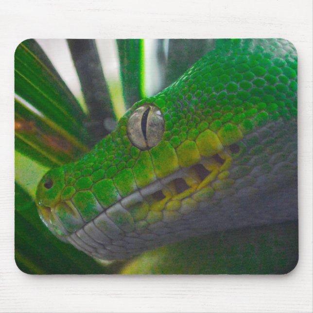 Green Tree Python (B) Mouse Pad (Front)
