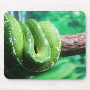 Green Tree Python Mousepad