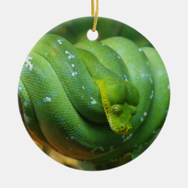 Green Tree Python Snake Ceramic Ornament (Front)