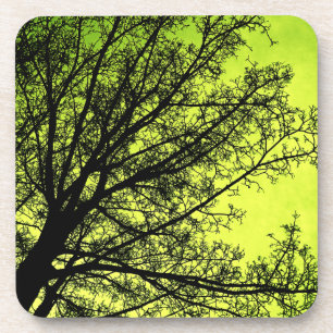 Green Tree Silhouette Cork Coaster set