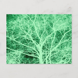 Green tree silhouette postcard