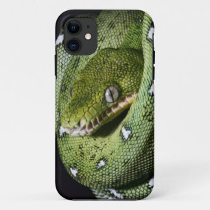 Green tree snake emerald boa in Bolivia iPhone 11 Case