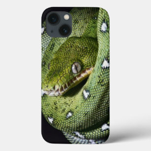 Green tree snake emerald boa in Bolivia iPhone 13 Case